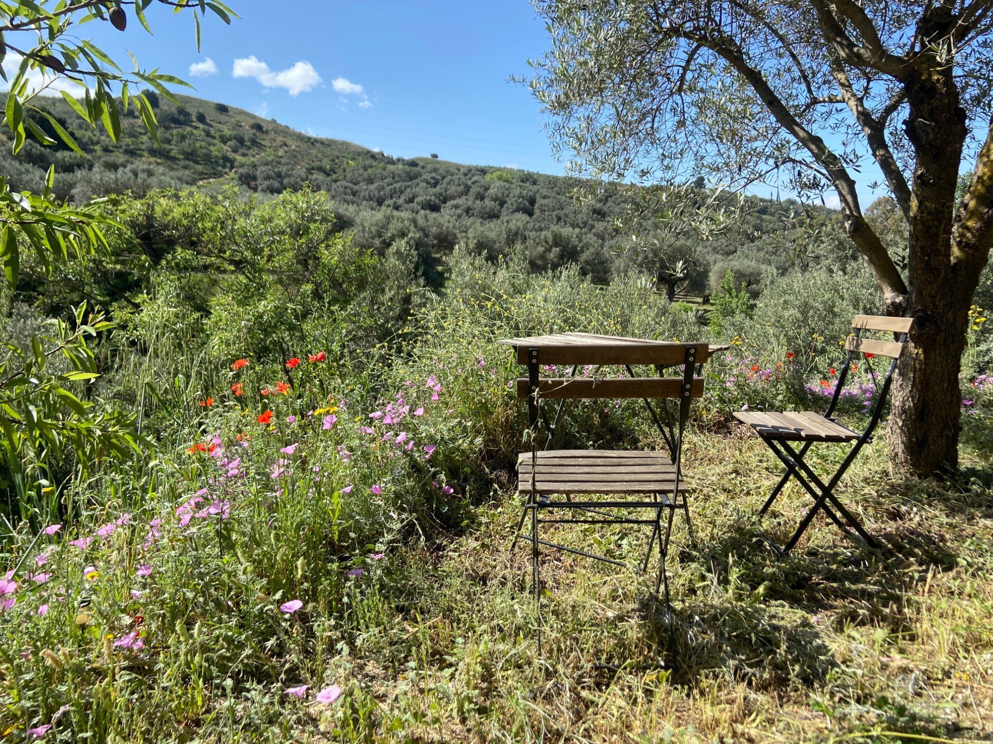 7 Day Somatic Movement and Dance Retreat From Bracing To Inner Sparkle, Spain 4