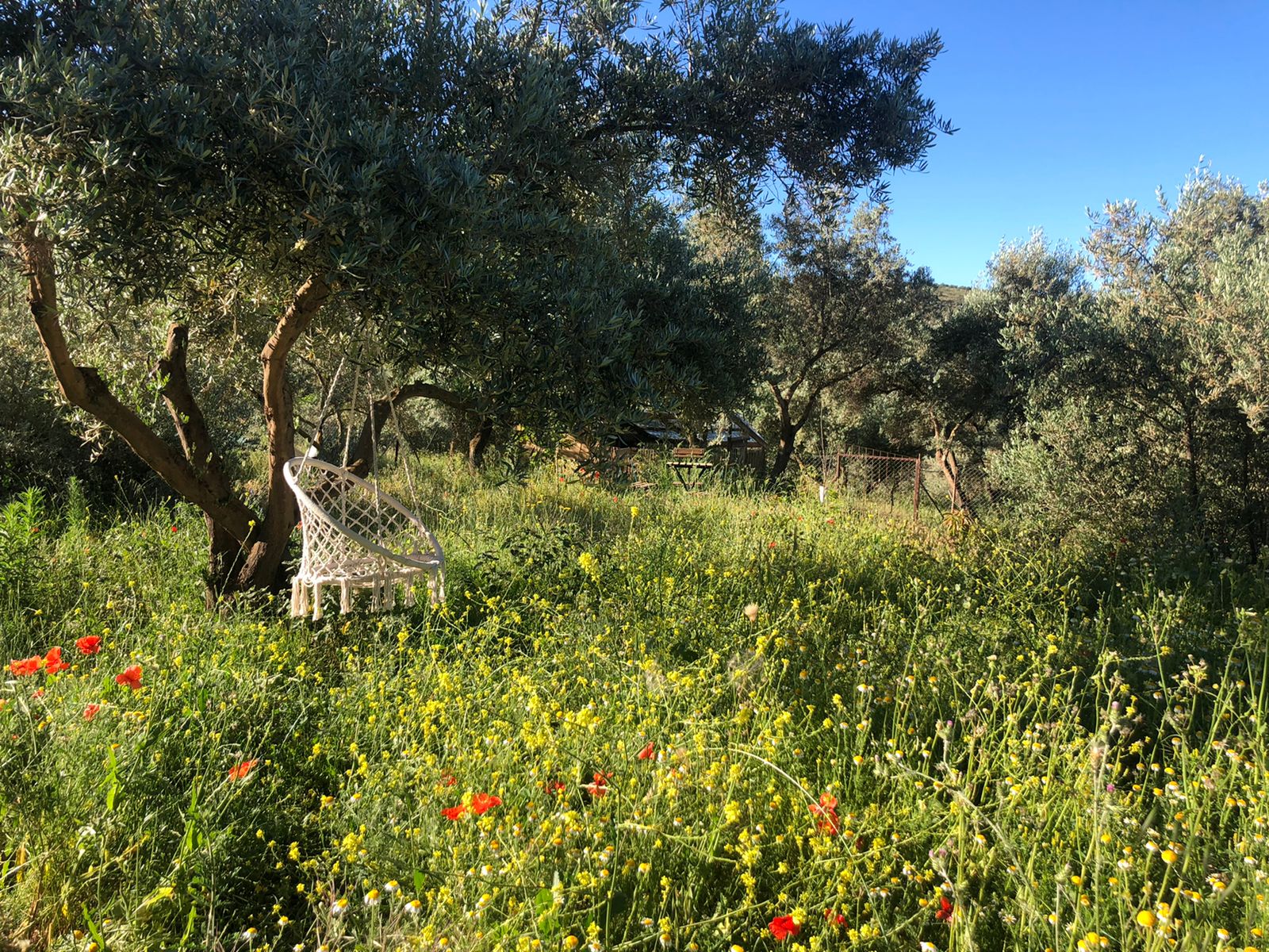 7 Day Somatic Movement and Dance Retreat From Bracing To Inner Sparkle, Spain