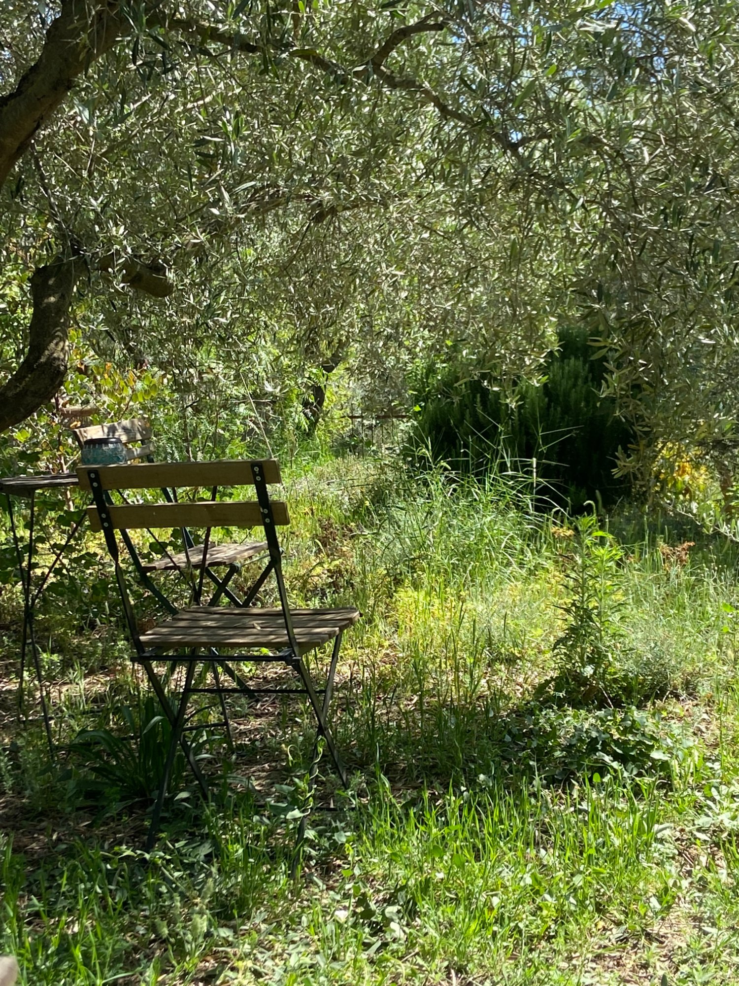 7 Day Pause, Listen, Reconnect Somatic Dance Retreat, Spain 3