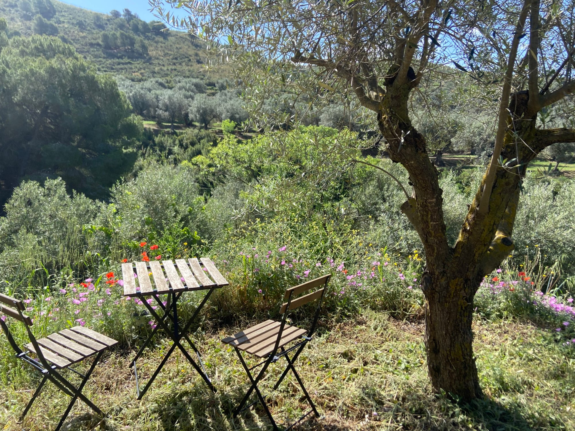 7 Day Pause, Listen, Reconnect Somatic Dance Retreat, Spain 4