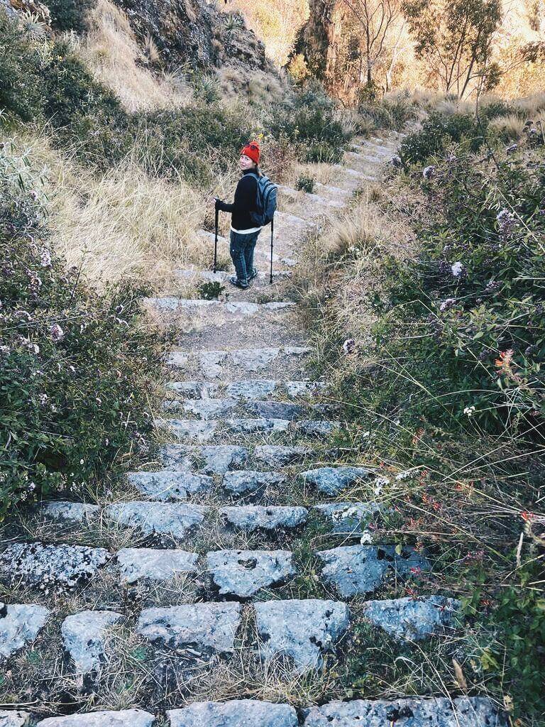 Trektocht naar een oude Inca-site & Wachuma-plantenmedicijnretreat 20