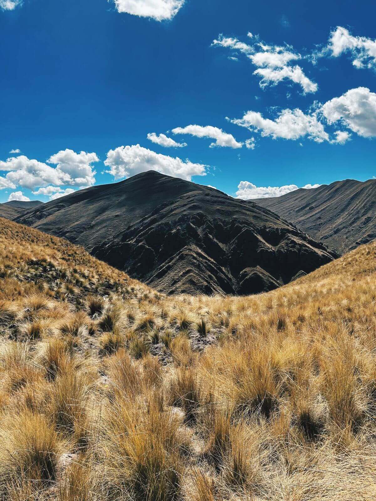 Trektocht naar een oude Inca-site & Wachuma-plantenmedicijnretreat 18