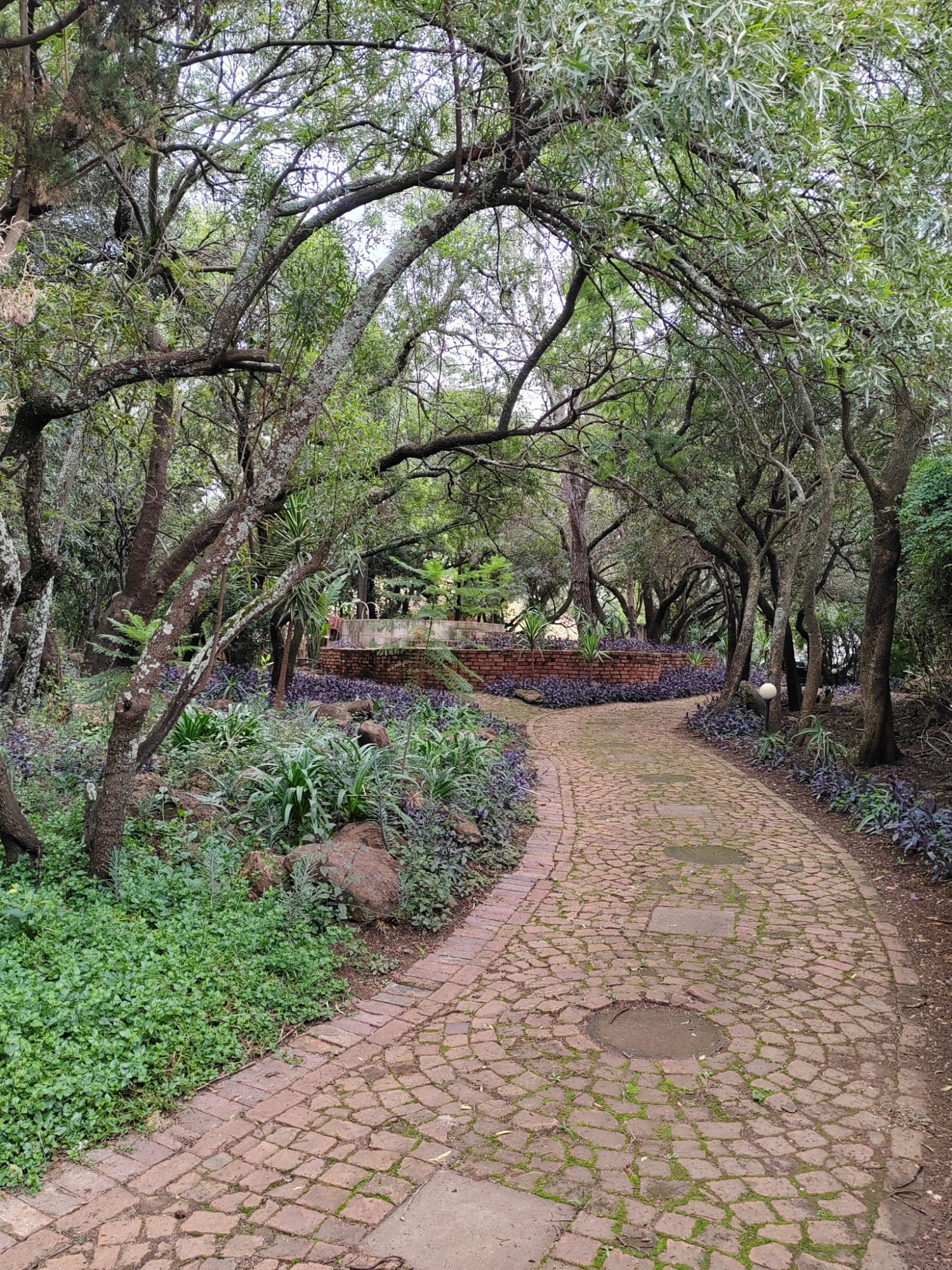 Awaken Sanctuary for Awareness 6